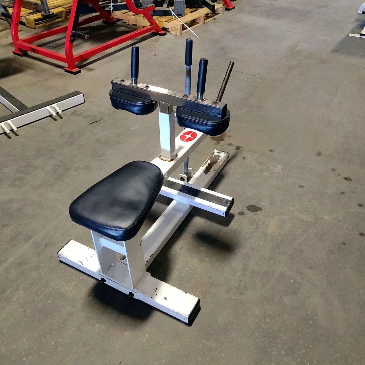 Cybex Calf Raise Plate Loaded