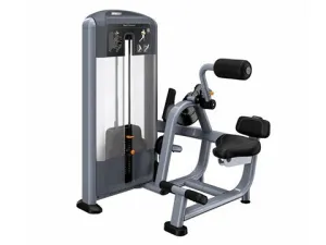 Refurbished Precor Discovery Series Back Extension
