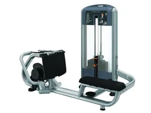 Refurbished Precor Discovery Series Diverging Low Row