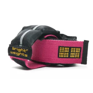 Scuba Diving Ankle Weight Straps, Pink, 1.1lb