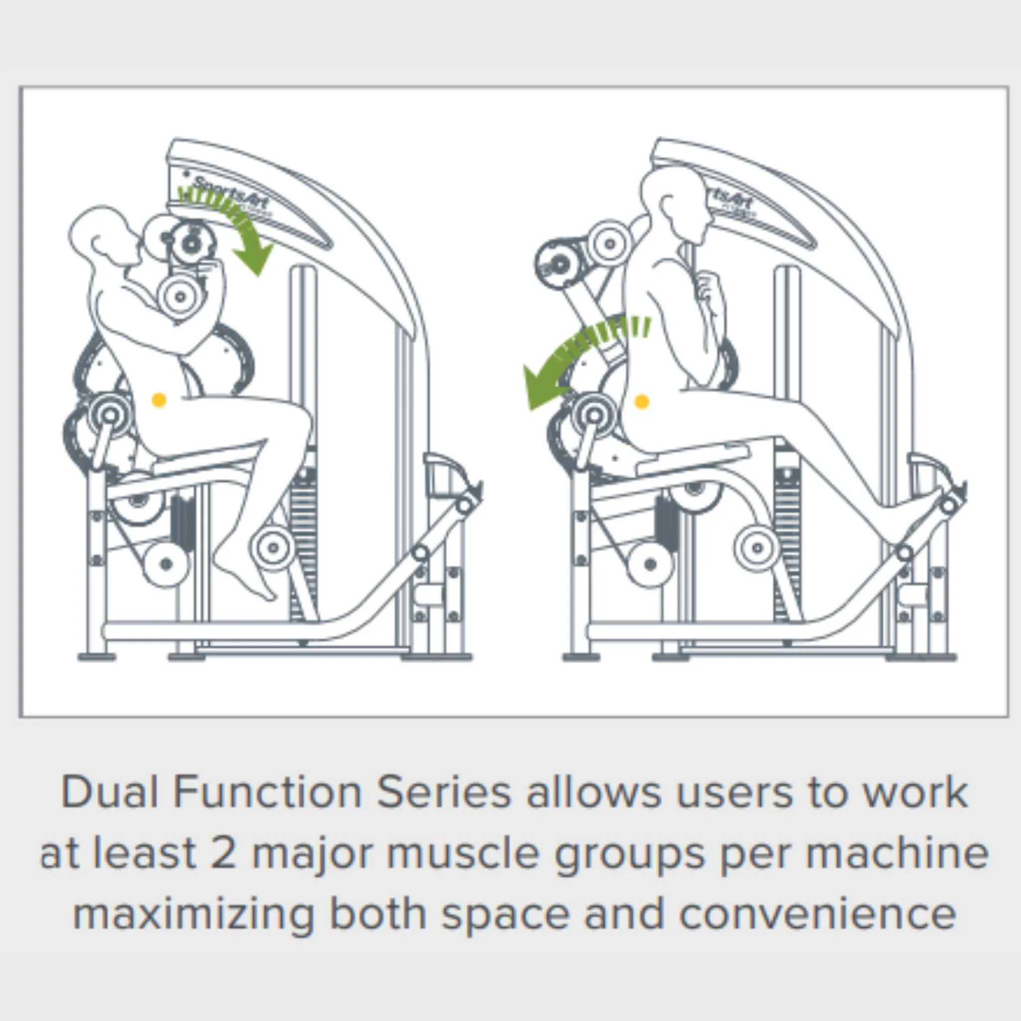 SportsArt DF-306 Back Extension/Ab Crunch