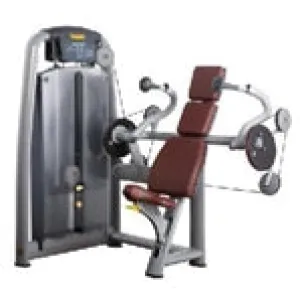 TechnoGym Arm Extension Strength Machine