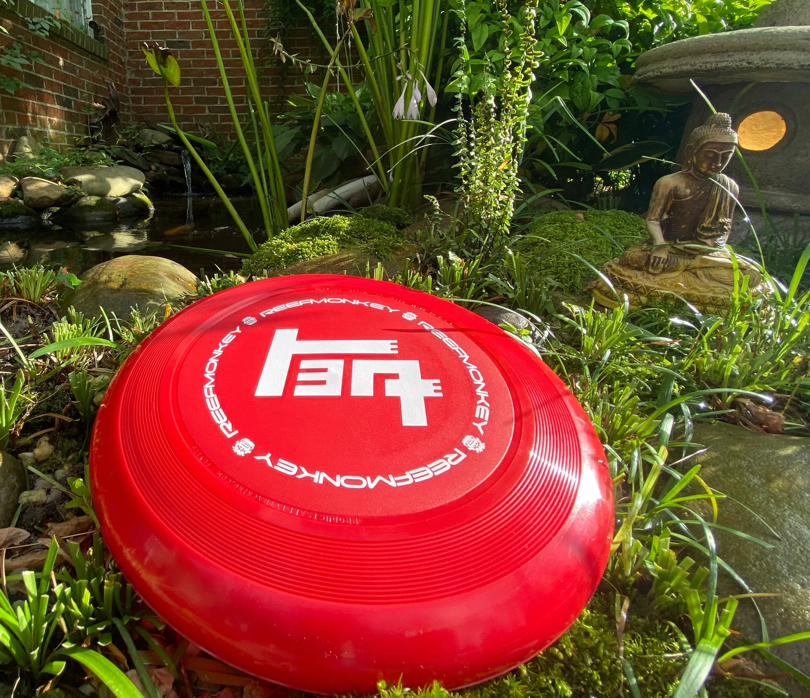 TEQ Toyota Flyer - Reefmonkey Throwing Disc Frisbee