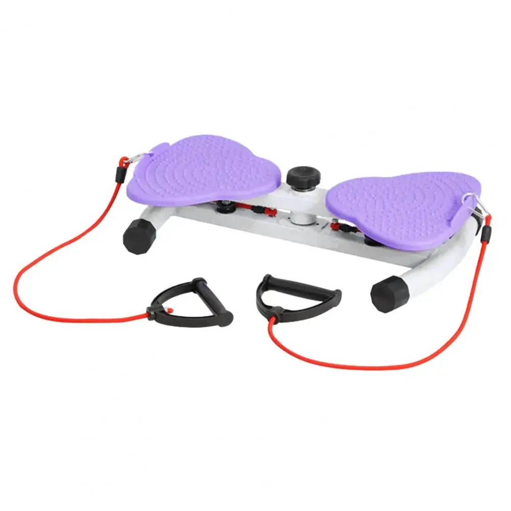Waist Twister Board for Home  300LB Capacity Ab Workout Machine with Resistance Bands, Quiet Core Training & Anti-Slip Base (Portable)